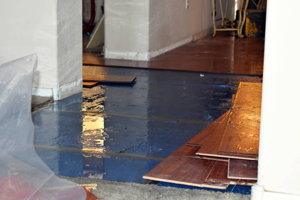Professional Water Damage Restoration technician working in Reno, OH